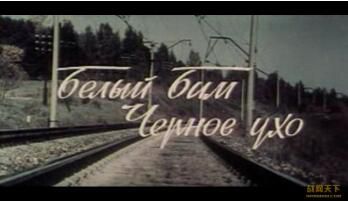 1977前蘇聯電影 白比姆黑耳朵 懷舊錄像版 國語無字幕 DVD