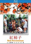 1996台灣電影 紅柿子 陶述/石雋/張世 