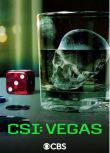 2024美劇 犯罪現場調查：維加斯 第三季 CSI: Vegas 寶拉·紐瑟姆 英語中字 盒裝1碟
