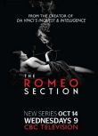 羅密歐間諜/The Romeo Section 第1季