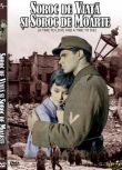1958美國電影 無情戰地有情天 二戰/蘇德戰 英語中英文 DVD