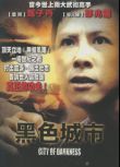黑色城市 DVD收藏版 甄子丹/鄒兆龍/周比利
