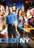 CSI:NY/犯罪現場調查: 紐約篇 第九季完整版 