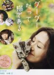 2008日本高分劇情《咕咕是一只貓/貓貓向前沖/貓咪咕咕》.日語中字